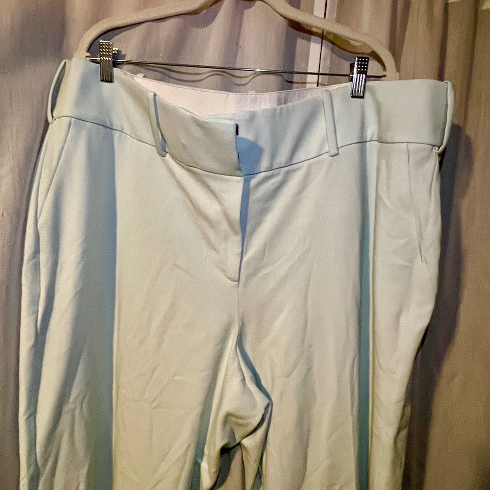 Lane Bryant Women's Soft Mint Green Trousers